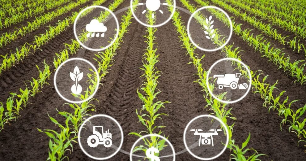 En los primeros días de junio, México dio pasos importantes para enfrentar la crisis ambiental.