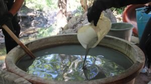 El impacto ambiental de los laboratorios clandestinos en Sinaloa representa una amenaza grave para la salud pública,