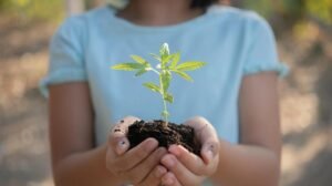 Jóvenes promueven el cuidado ambiental en el Arboretum Nacional