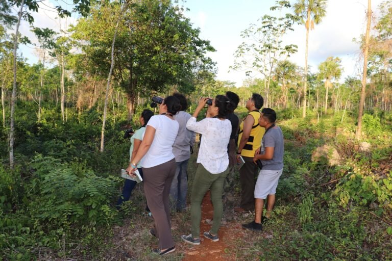 61862206 1952450068195069 8593803889382260736 n 768x512 1