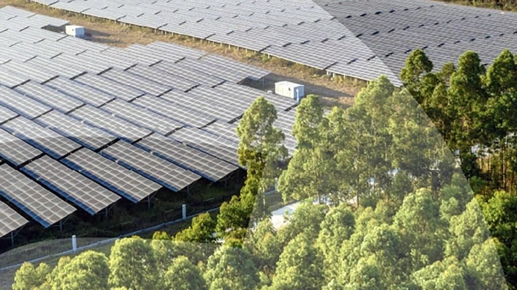 Greening y Tradebe impulsan el reciclaje solar en España 10 67bc4904fb184fcb015fdeb4