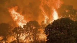 Guanajuato enfrenta en 2025 su peor crisis de incendios forestales en seis años