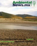 AMBIENTALNEWS RS 1