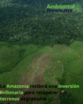 AMBIENTALNEWS RS 15