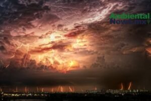 AMBIENTALNEWSMX WEB 1 10