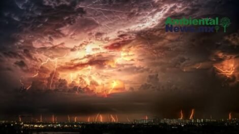 AMBIENTALNEWSMX WEB 1 10