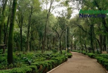 AMBIENTALNEWSMX WEB 1 12