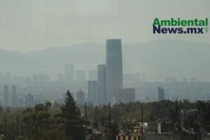 AMBIENTALNEWSMX WEB 1 2
