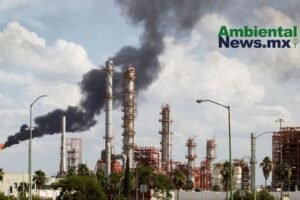 AMBIENTALNEWSMX WEB 1 20