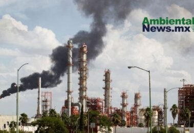 AMBIENTALNEWSMX WEB 1 20