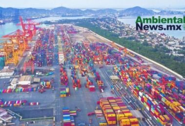 AMBIENTALNEWSMX WEB 1 25