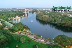 AMBIENTALNEWSMX WEB 1 26