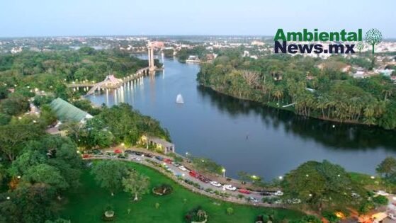 AMBIENTALNEWSMX WEB 1 26