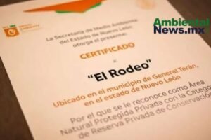 AMBIENTALNEWSMX WEB 1 27
