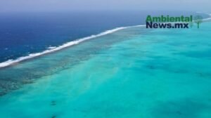 AMBIENTALNEWSMX WEB 1 6