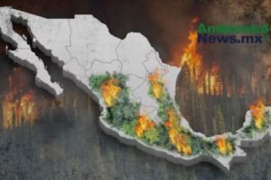 AMBIENTALNEWSMX WEB 1 8