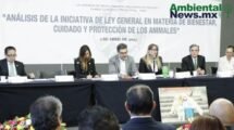 AMBIENTALNEWSMX WEB 10 3