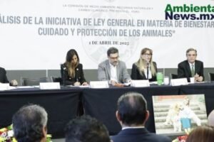 AMBIENTALNEWSMX WEB 10 3