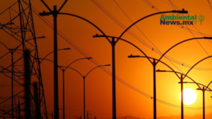 AMBIENTALNEWSMX WEB 11