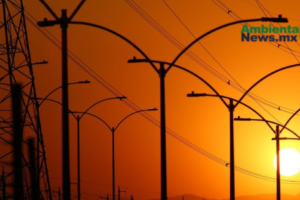 AMBIENTALNEWSMX WEB 11