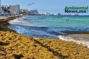 AMBIENTALNEWSMX WEB 12 3