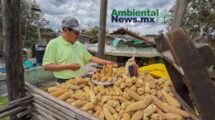 AMBIENTALNEWSMX WEB 14 1