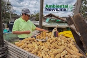 AMBIENTALNEWSMX WEB 14 1