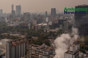 AMBIENTALNEWSMX WEB 17