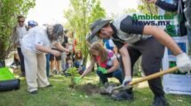 AMBIENTALNEWSMX WEB 18