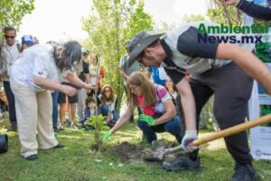AMBIENTALNEWSMX WEB 18