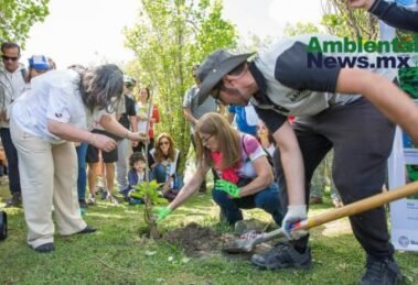 AMBIENTALNEWSMX WEB 18