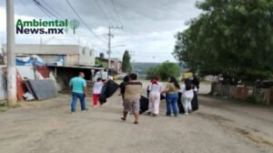AMBIENTALNEWSMX WEB 2 11