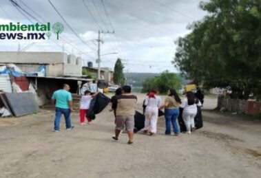 AMBIENTALNEWSMX WEB 2 11
