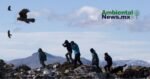 Bariloche busca frenar colapso de su vertedero con reciclaje masivo e incentivos fiscales 10 AMBIENTALNEWSMX WEB 2 12