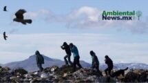 AMBIENTALNEWSMX WEB 2 12