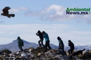 AMBIENTALNEWSMX WEB 2 12