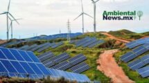 AMBIENTALNEWSMX WEB 2 3