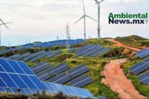 AMBIENTALNEWSMX WEB 2 3