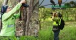 Mujeres impulsan innovaciones clave para enfrentar los desafíos ambientales 7 AMBIENTALNEWSMX WEB 2 5