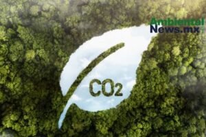 AMBIENTALNEWSMX WEB 21