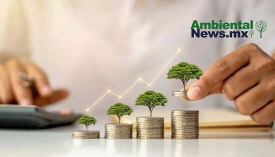 AMBIENTALNEWSMX WEB 24