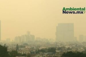 AMBIENTALNEWSMX WEB 28