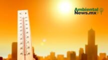 AMBIENTALNEWSMX WEB 3