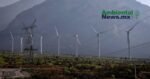 AMBIENTALNEWSMX WEB 3 8
