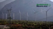AMBIENTALNEWSMX WEB 3 8