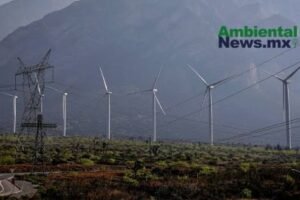 AMBIENTALNEWSMX WEB 3 8