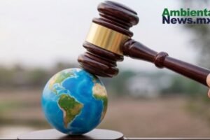 AMBIENTALNEWSMX WEB 31