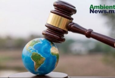 AMBIENTALNEWSMX WEB 31