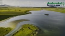 AMBIENTALNEWSMX WEB 33