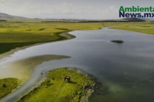 AMBIENTALNEWSMX WEB 33
